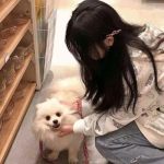 魔法军团测试版下载