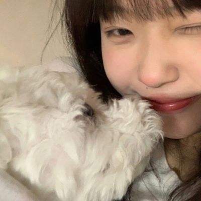 天美宝可梦moba手游